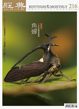 經典電子雜誌第216期